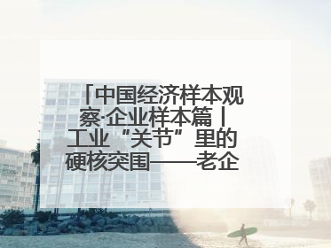 中国经济样本观察·企业样本篇丨工业“关节”里的硬核突围——老企业洛轴创新蝶变启示录