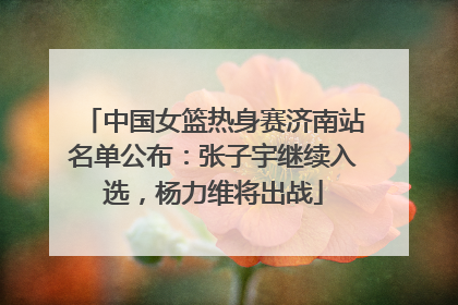 中国女篮热身赛济南站名单公布：张子宇继续入选，杨力维将出战