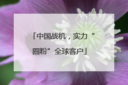 中国战机，实力“圈粉”全球客户
