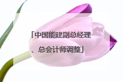 中国能建副总经理、总会计师调整