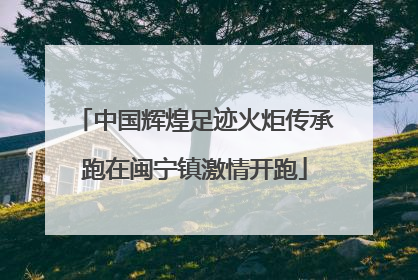 中国辉煌足迹火炬传承跑在闽宁镇激情开跑