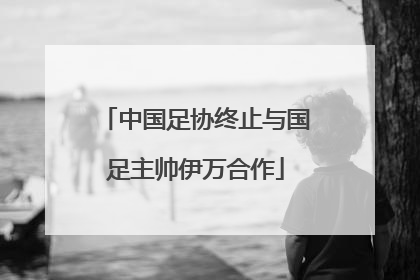 中国足协终止与国足主帅伊万合作