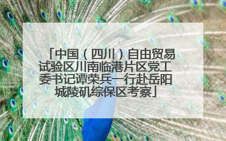中国（四川）自由贸易试验区川南临港片区党工委书记谭荣兵一行赴岳阳城陵矶综保区考察