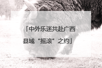 中外乐迷共赴广西县域“摇滚”之约