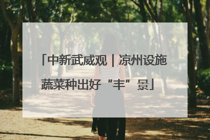 中新武威观｜凉州设施蔬菜种出好“丰”景