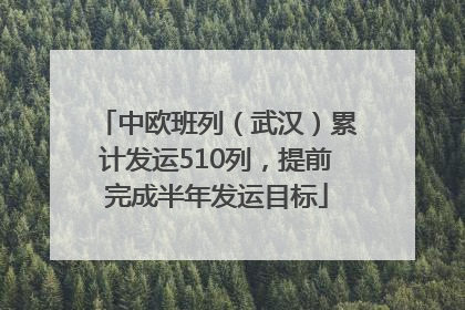中欧班列（武汉）累计发运510列，提前完成半年发运目标