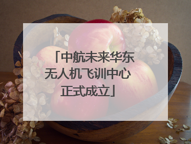 中航未来华东无人机飞训中心正式成立