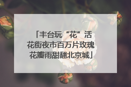 丰台玩“花”活 花街夜市百万片玫瑰花瓣雨甜翻北京城