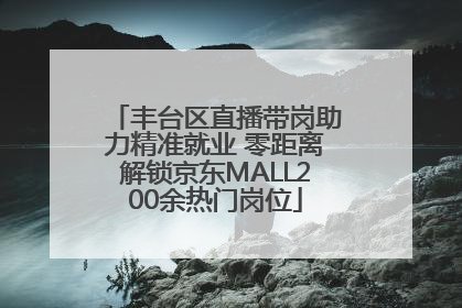丰台区直播带岗助力精准就业 零距离解锁京东MALL200余热门岗位