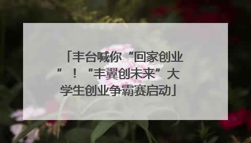 丰台喊你“回家创业”！“丰翼创未来”大学生创业争霸赛启动