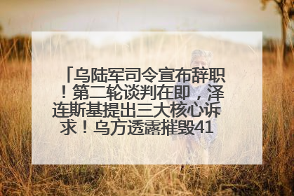 乌陆军司令宣布辞职！第二轮谈判在即，泽连斯基提出三大核心诉求！乌方透露摧毁41架俄战略轰炸机