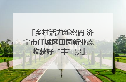 乡村活力新密码 济宁市任城区田园新业态收获好“丰”景