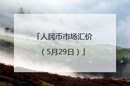 人民币市场汇价（5月29日）