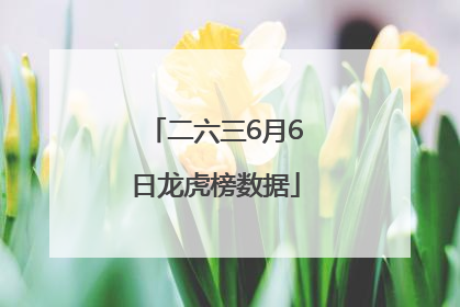 二六三6月6日龙虎榜数据