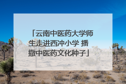 云南中医药大学师生走进西冲小学 播撒中医药文化种子