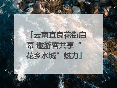 云南宜良花街启幕 邀游客共享“花乡水城”魅力