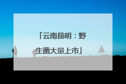 云南昆明：野生菌大量上市