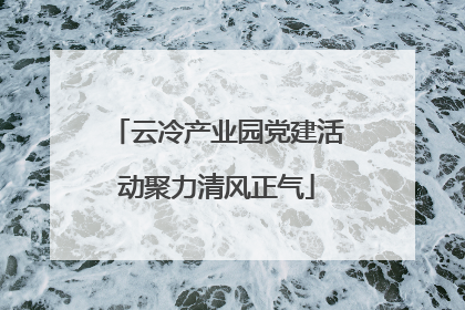 云冷产业园党建活动聚力清风正气
