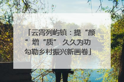 云霄列屿镇：提“颜”增“质” 久久为功勾勒乡村振兴新画卷