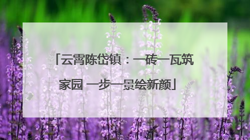 云霄陈岱镇：一砖一瓦筑家园 一步一景绘新颜