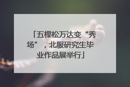 五棵松万达变“秀场”，北服研究生毕业作品展举行