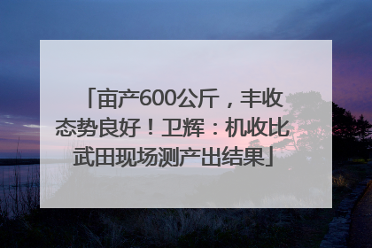 亩产600公斤，丰收态势良好！卫辉：机收比武田现场测产出结果
