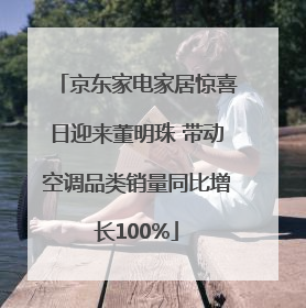 京东家电家居惊喜日迎来董明珠 带动空调品类销量同比增长100%