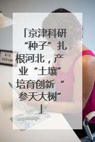 京津科研“种子”扎根河北，产业“土壤”培育创新“参天大树”