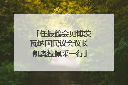 任振鹤会见博茨瓦纳国民议会议长凯奥拉佩采一行