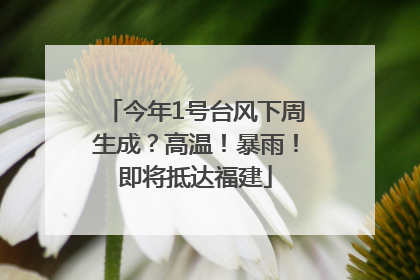 今年1号台风下周生成？高温！暴雨！即将抵达福建