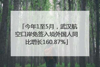 今年1至5月，武汉航空口岸免签入境外国人同比增长160.87%