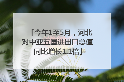 今年1至5月，河北对中亚五国进出口总值同比增长1.1倍