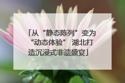 从“静态陈列”变为“动态体验” 湖北打造沉浸式非遗盛宴