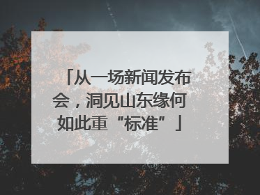 从一场新闻发布会，洞见山东缘何如此重“标准”