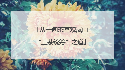 从一间茶室观岚山“三茶统筹”之道