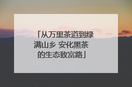 从万里茶道到绿满山乡 安化黑茶的生态致富路