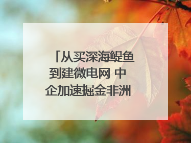 从买深海鳀鱼到建微电网 中企加速掘金非洲现代化｜直击中非经贸博览会