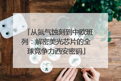 从氮气蚀刻到中欧班列：解密美光芯片的全球竞争力西安密码