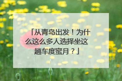 从青岛出发！为什么这么多人选择坐这趟车度蜜月？