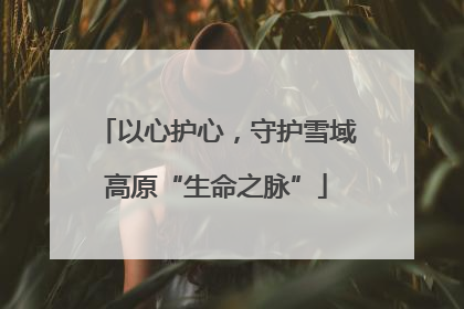 以心护心，守护雪域高原“生命之脉”