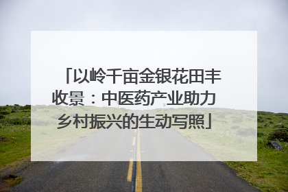 以岭千亩金银花田丰收景：中医药产业助力乡村振兴的生动写照