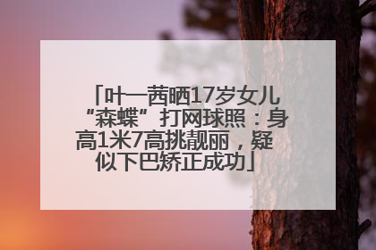 叶一茜晒17岁女儿“森蝶”打网球照：身高1米7高挑靓丽，疑似下巴矫正成功