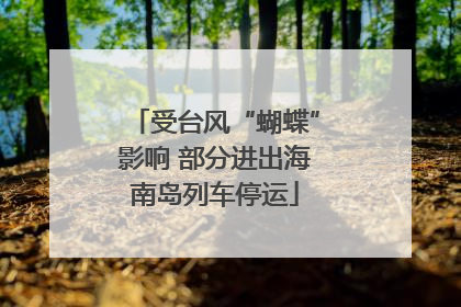 受台风“蝴蝶”影响 部分进出海南岛列车停运