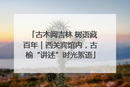 古木阅吉林 树语藏百年｜西关宾馆内，古榆“讲述”时光絮语