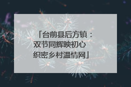 台前县后方镇：双节同辉映初心 织密乡村温情网