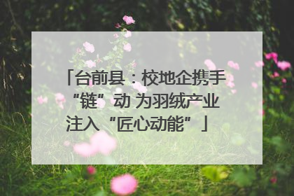 台前县：校地企携手“链”动 为羽绒产业注入“匠心动能”