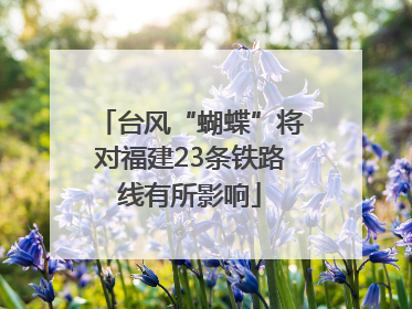 台风“蝴蝶”将对福建23条铁路线有所影响