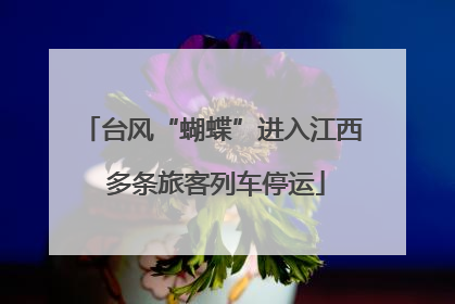台风“蝴蝶”进入江西 多条旅客列车停运