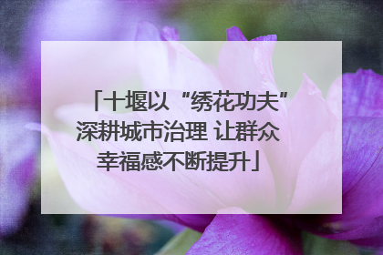 十堰以“绣花功夫”深耕城市治理 让群众幸福感不断提升