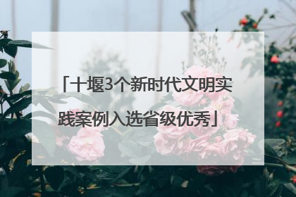 十堰3个新时代文明实践案例入选省级优秀